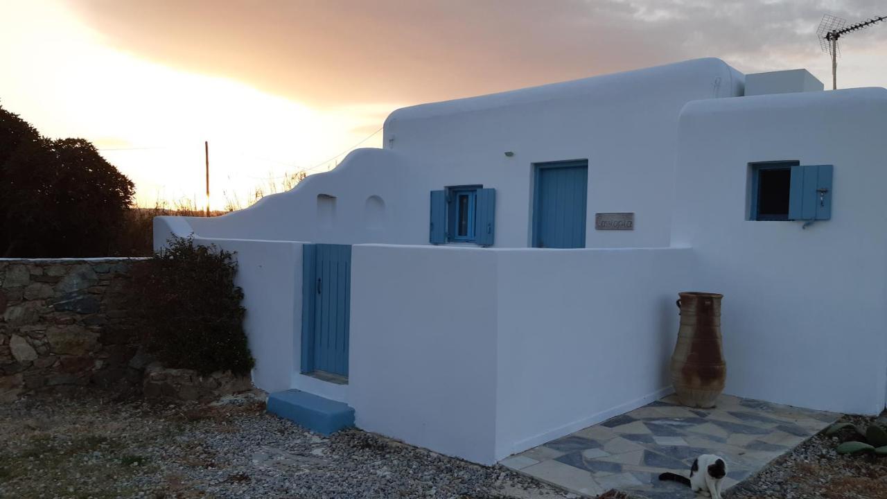 Fortina Mykonos House Alloggio in famiglia *